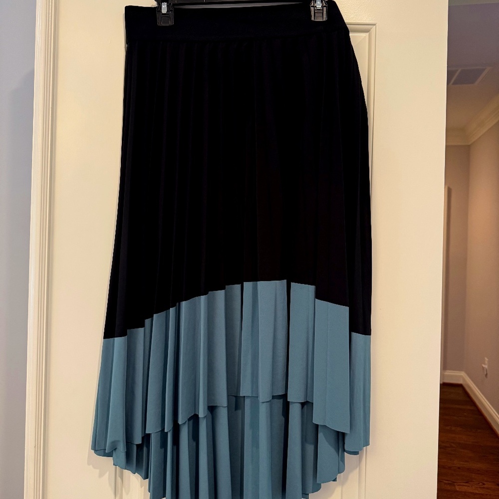 High-Low Pleated Skirt